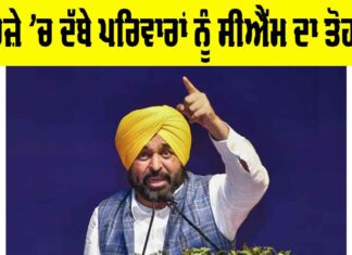 Punjab News