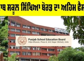 Punjab School Teachers News