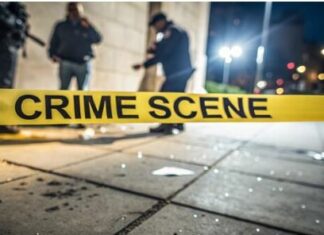 Punjab Shooting Incident