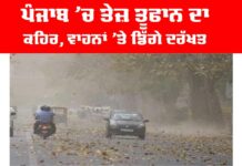 Punjab Storm News