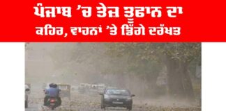 Punjab Storm News