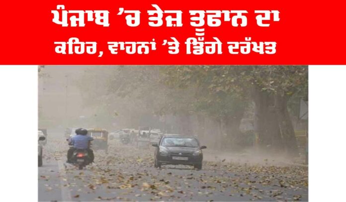 Punjab Storm News