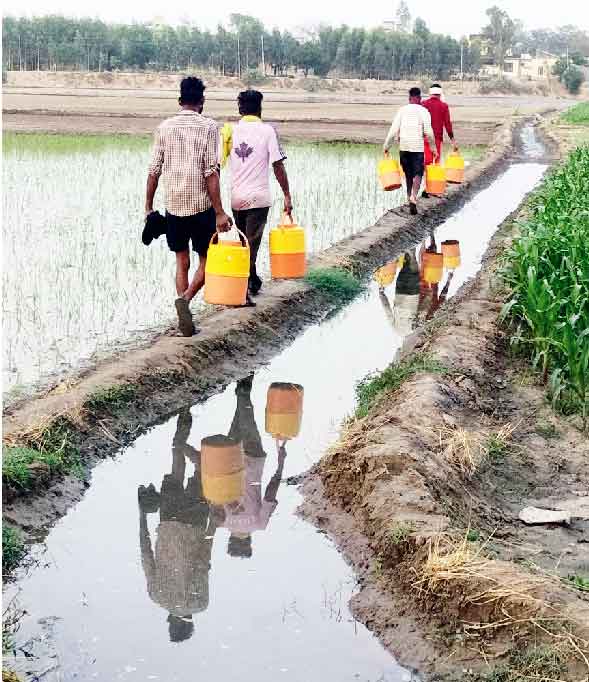 Water Purifier