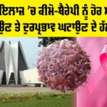 Punjabi University Patiala