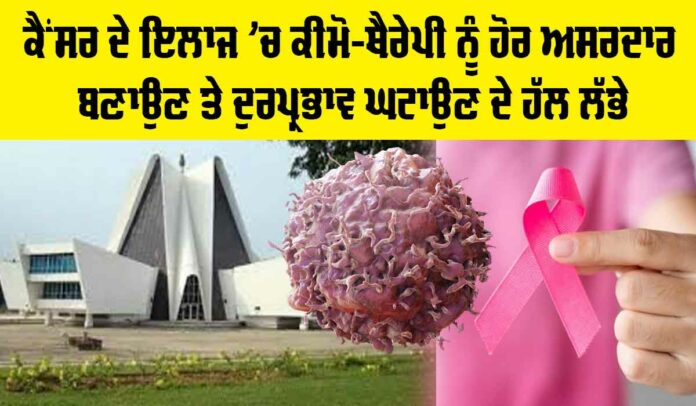 Punjabi University Patiala