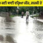 Rain News Punjab