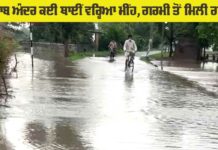Rain News Punjab
