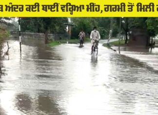 Rain News Punjab