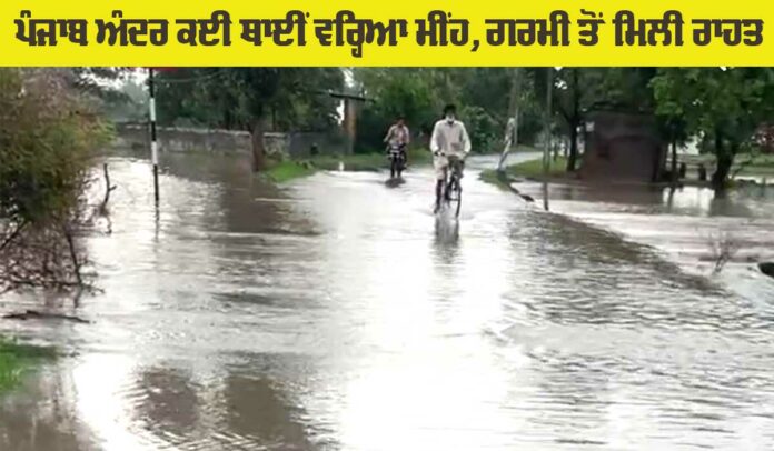 Rain News Punjab