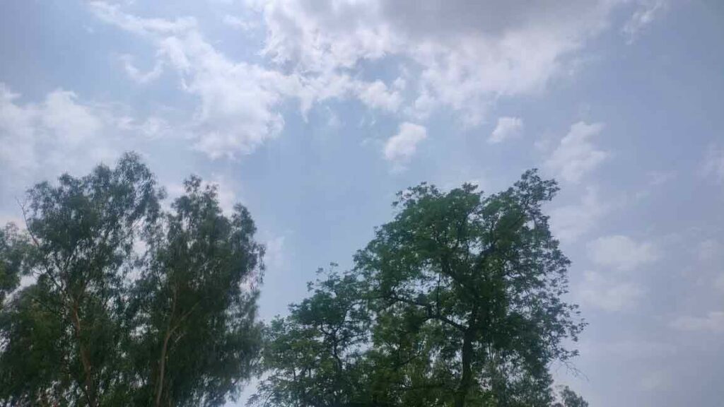 Punjab Weather Update