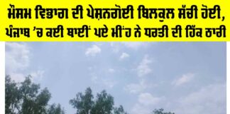 Punjab Weather Update