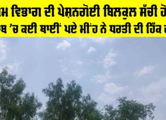 Punjab Weather Update
