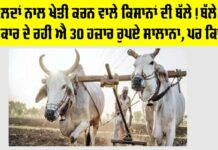 Government News