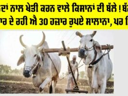 Government News