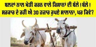 Government News