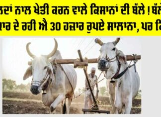 Government News