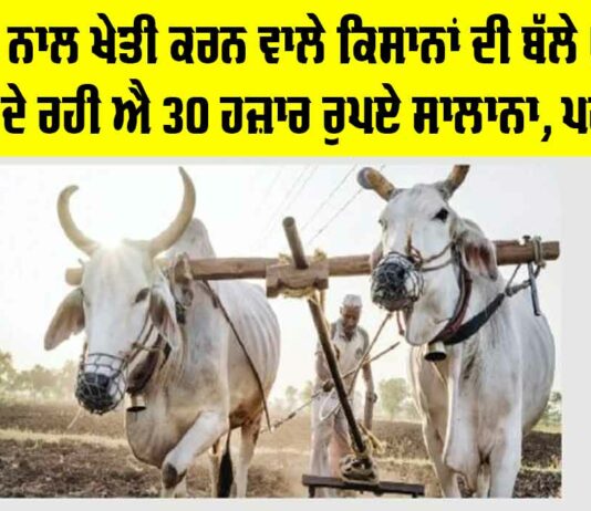 Government News