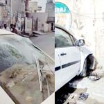 Road Accident News