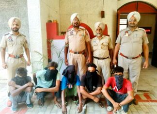 Robbery Gang Arrested