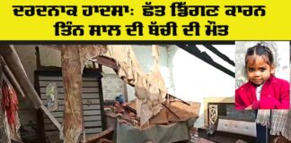 Punjab Roof Collapse News