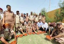 Sangrur News