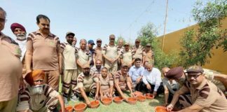 Sangrur News
