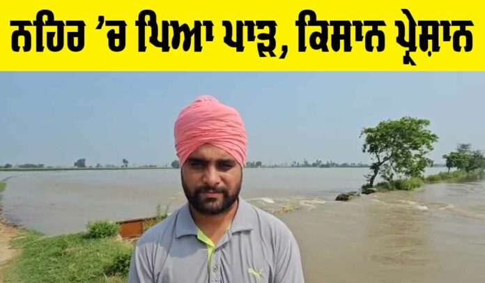 Sangrur News