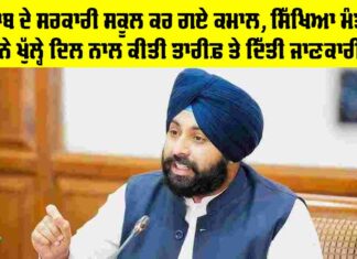 Government Schools Punjab