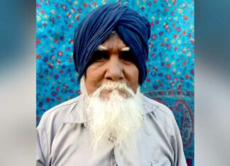 Snake Bite Death News Punjab