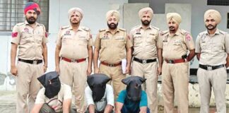 Telecom Tower Theft News