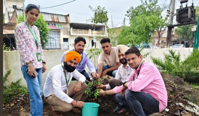 Tree Punjab Bank Foundation Day