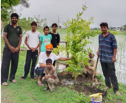 Tree Plantation Awareness