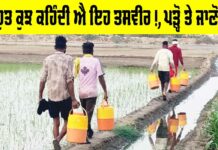 Water Purifier