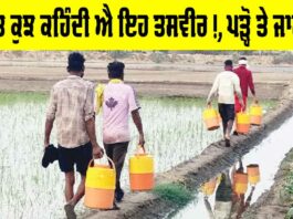Water Purifier