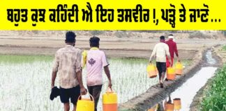 Water Purifier