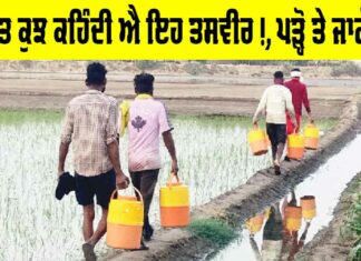 Water Purifier