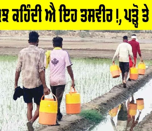 Water Purifier