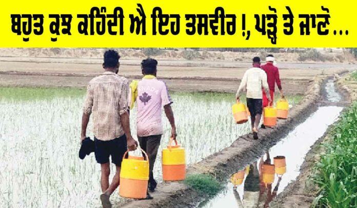 Water Purifier