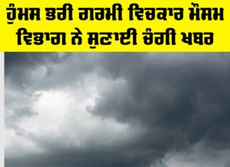 Weather News