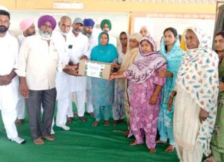 Social Welfare Activity