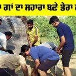 Welfare Work