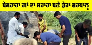 Welfare Work
