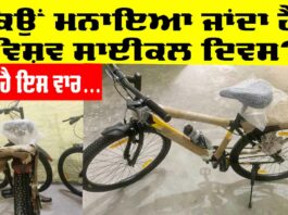 World Bicycle Day 2025