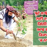 World Environment Day 2025