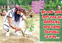 World Environment Day 2025