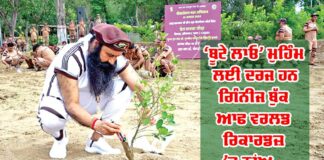 World Environment Day 2025