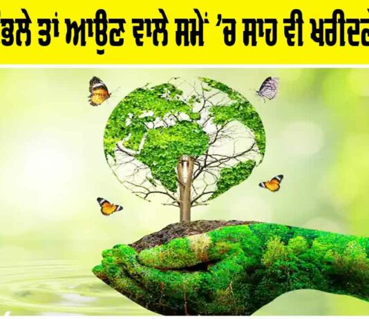 World Environment Day 2025