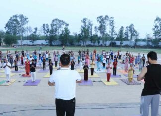Yoga Day