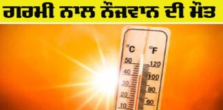 Heat Stroke News
