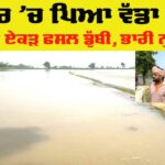 Punjab Canal Break News